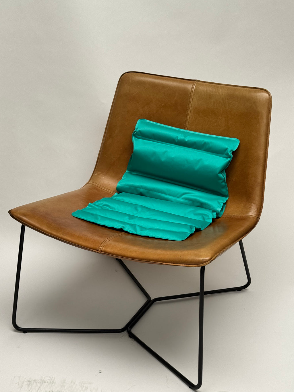 LP Travel Cushion