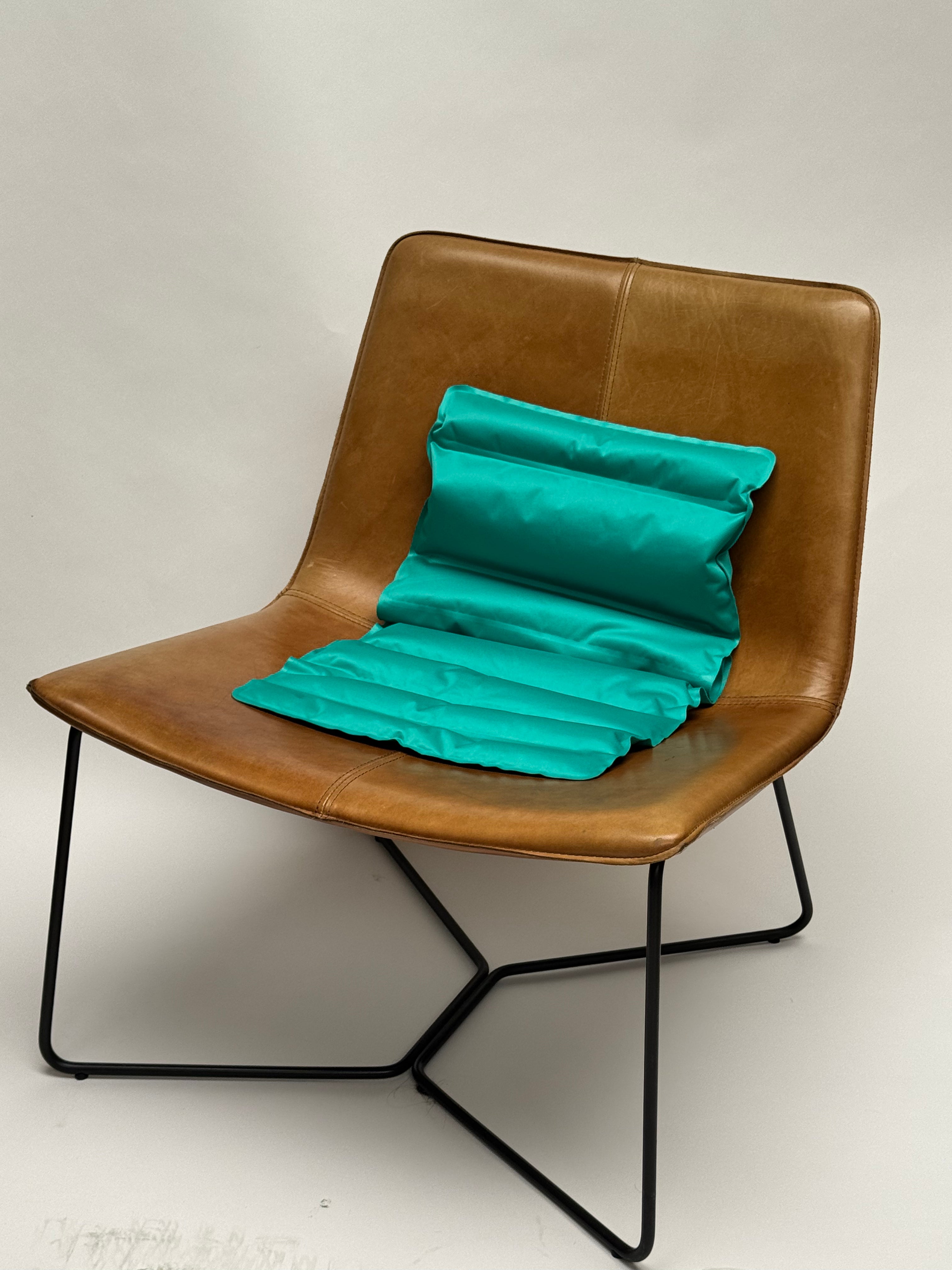 LP Travel Cushion